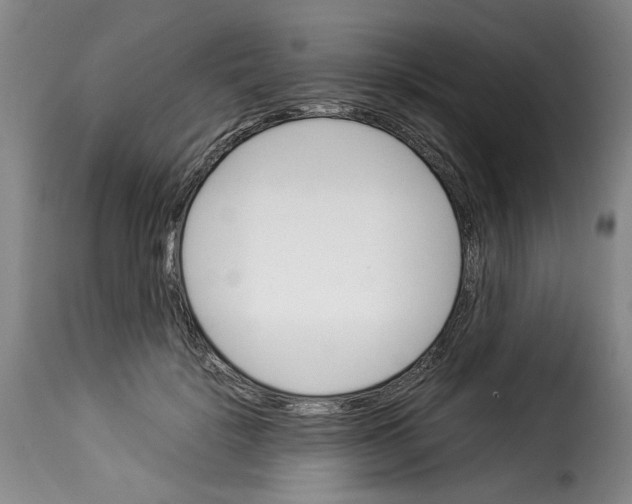 X0000114230652200911201111
