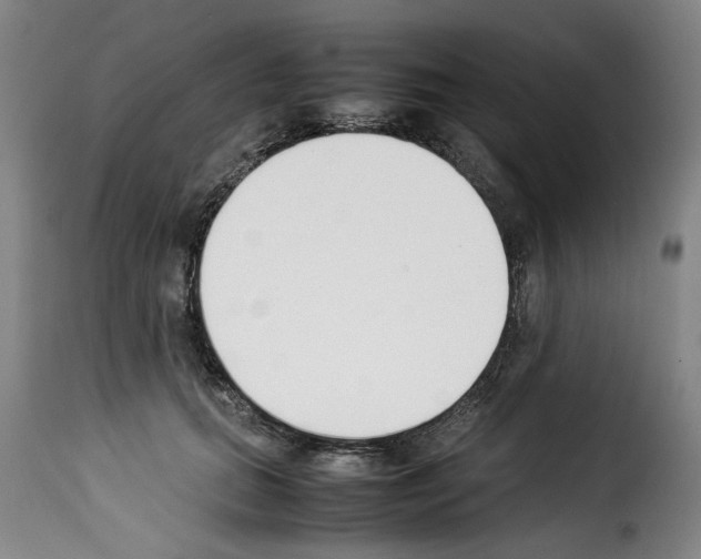 X0000114230655200911201111