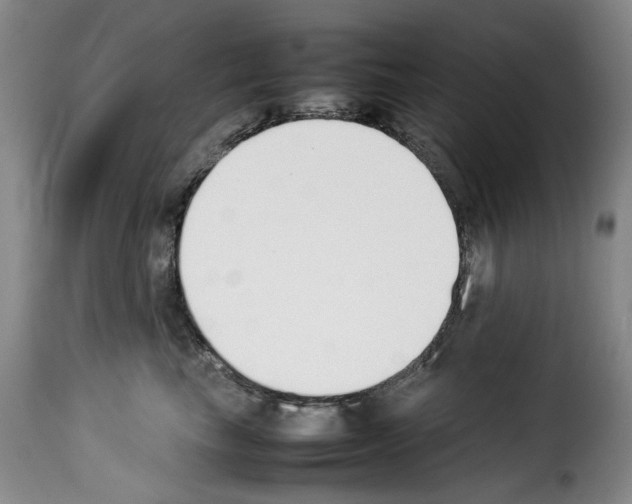 X0000114230665200911201111