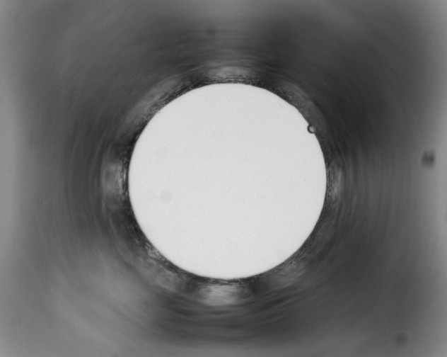X0000114230669200911201111