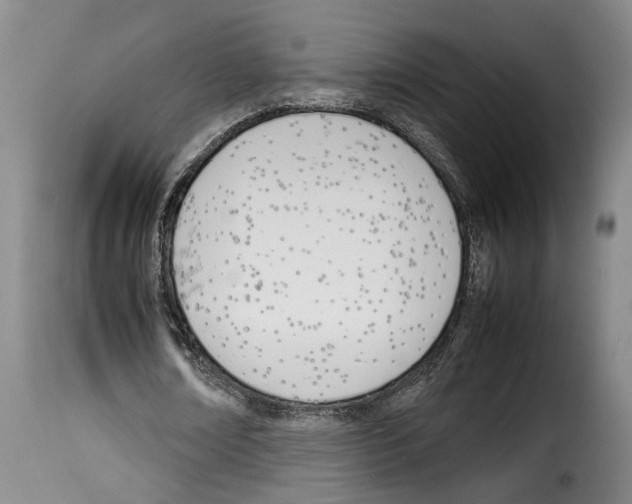 X0000114230674200911201110