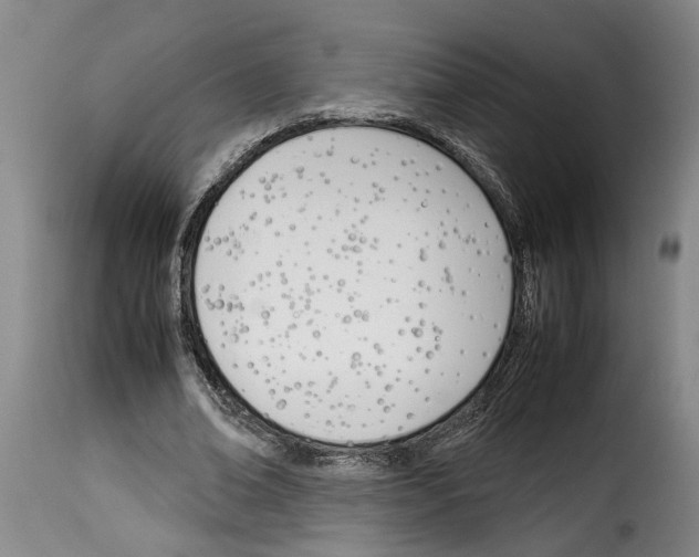 X0000114230678200911201110