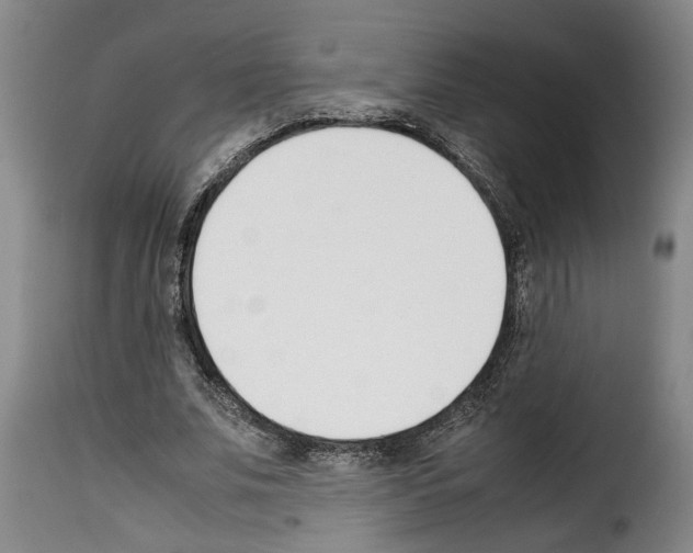 X0000114230679200911201110
