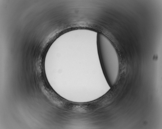 X0000114230680200911201110