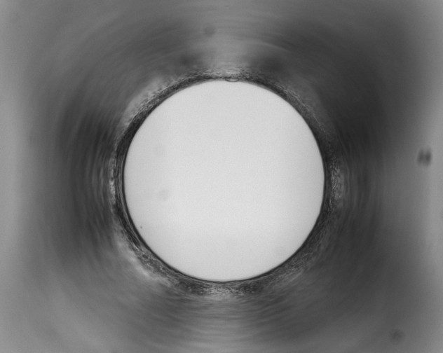 X0000114230682200911201110