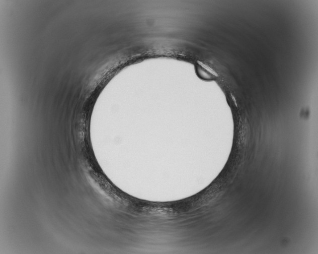 X0000114230683200911201110