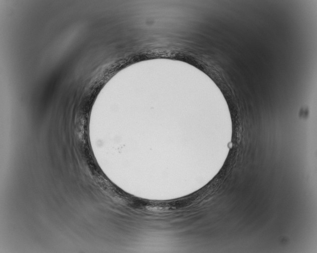 X0000114230693200911201110
