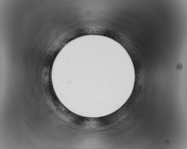 X0000114230695200911201110