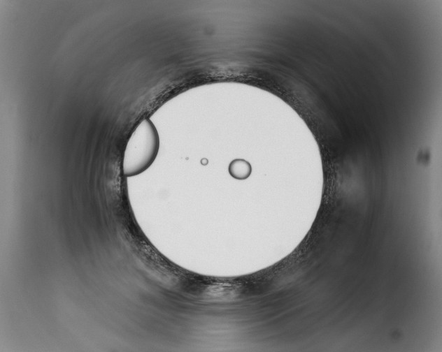 X0000114230700200911201110