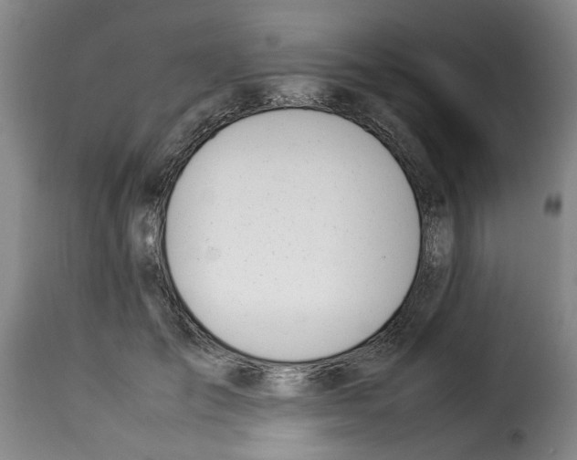 X0000114230701200911201110