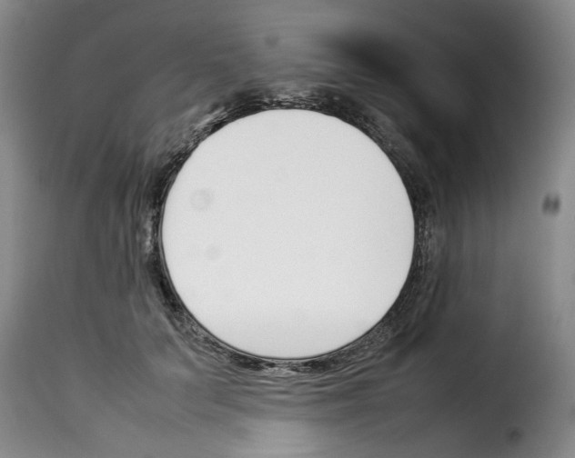 X0000114230703200911201110