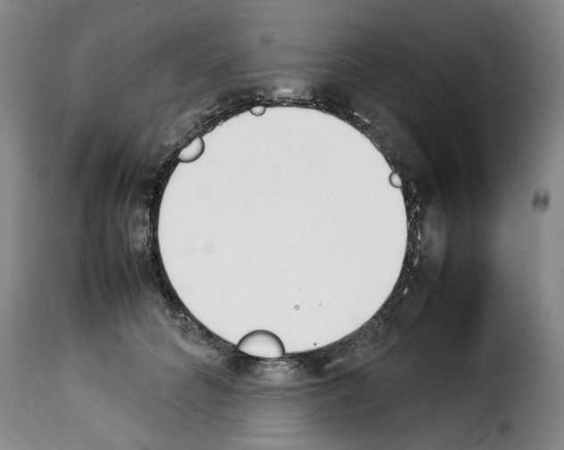 X0000114230704200911201110