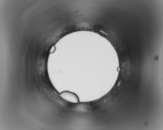 X0000114230708200911201110