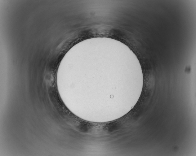 X0000114230709200911201110
