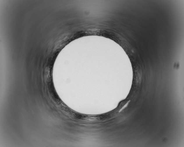X0000114230711200911201110
