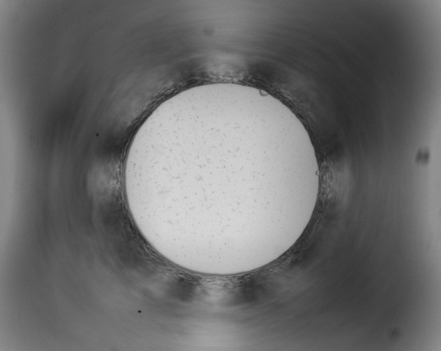 X0000114230713200911201110