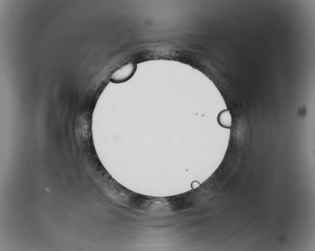 X0000114230715200911201110