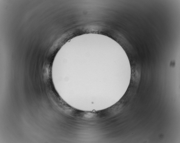 X0000114230718200911201110