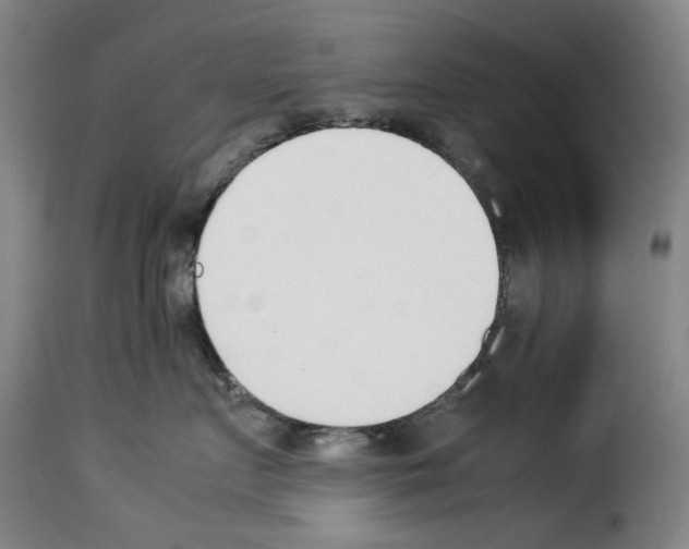 X0000114230719200911201110