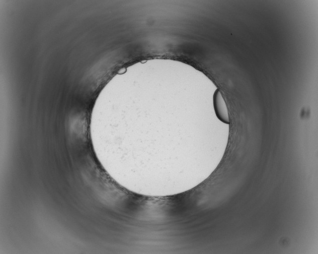 X0000114230720200911201110