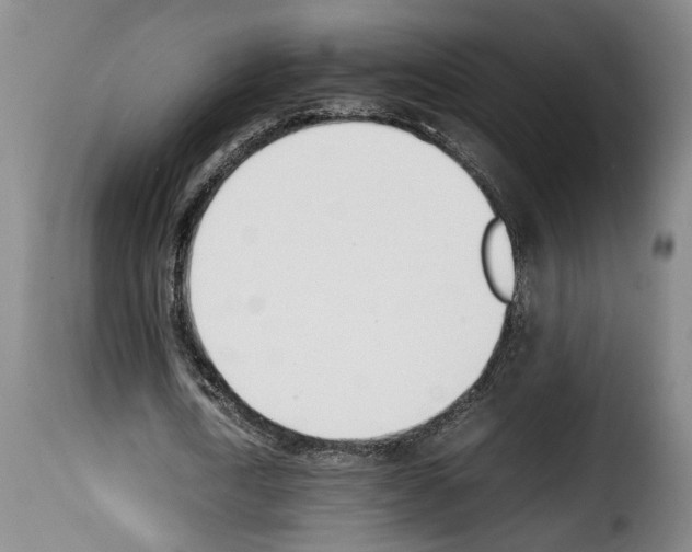 X0000114230722200911201109