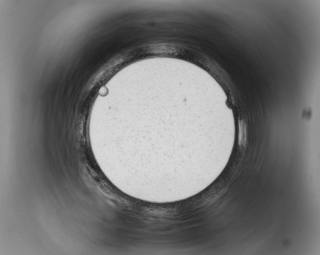 X0000114230723200911201109