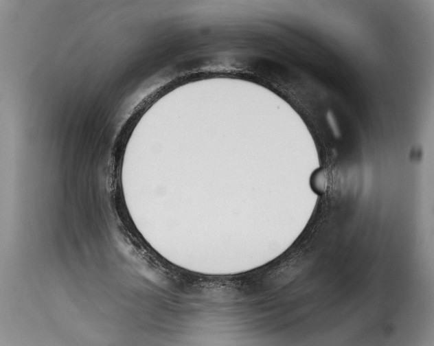 X0000114230724200911201109