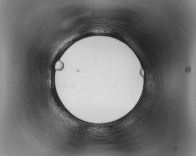 X0000114230727200911201109