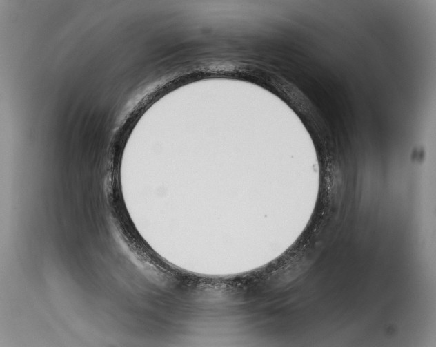 X0000114230728200911201109