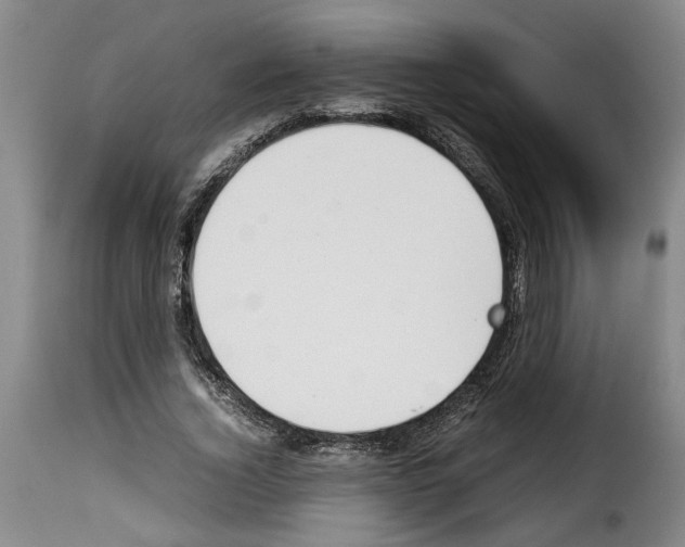 X0000114230732200911201109