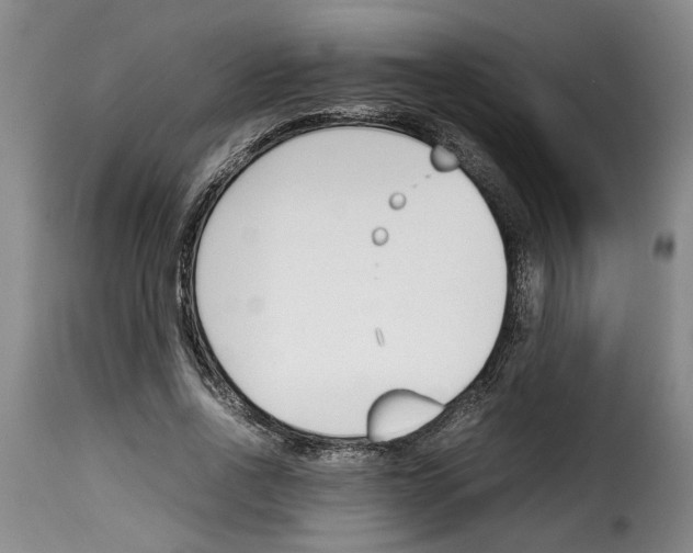 X0000114230734200911201109