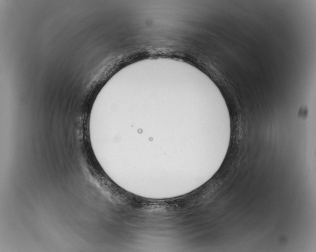 X0000114230738200911201109