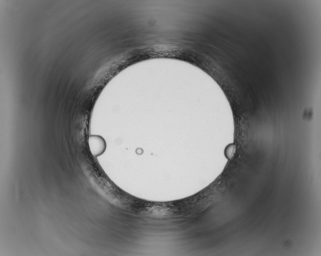 X0000114230742200911201109