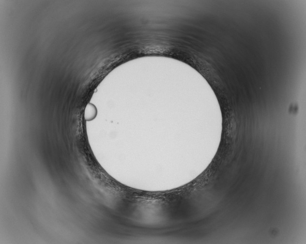 X0000114230743200911201109