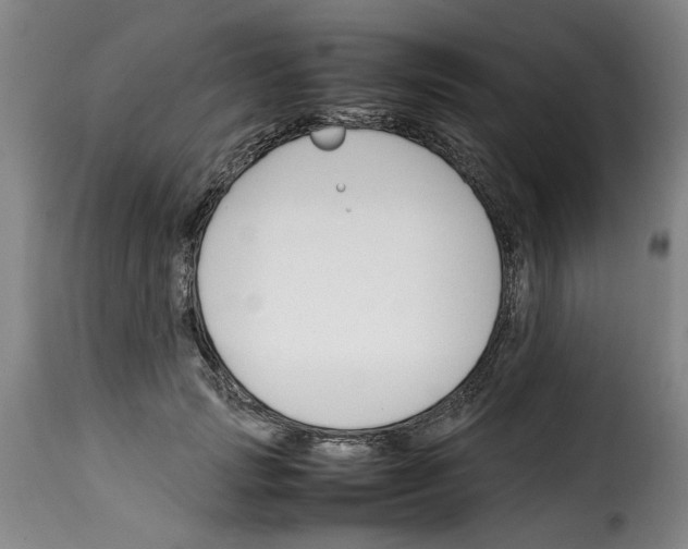X0000114230749200911201109