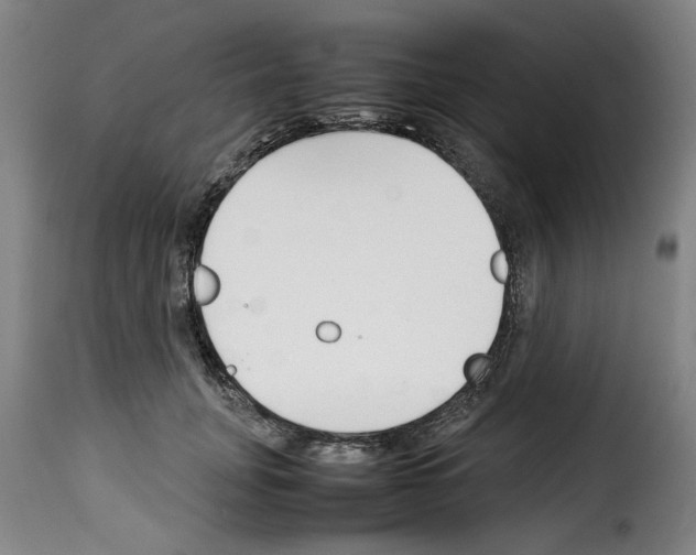 X0000114230751200911201109