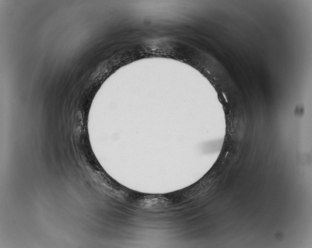 X0000114230752200911201109