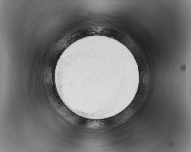 X0000114230754200911201109