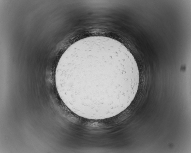 X0000114230755200911201109