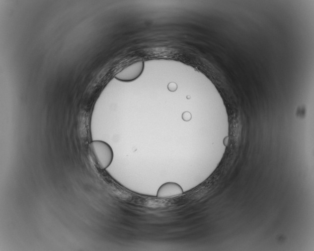 X0000114230757200911201109