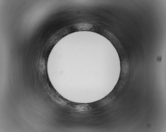 X0000114230761200911201109