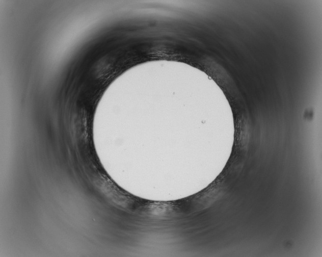 X0000114230762200911201109