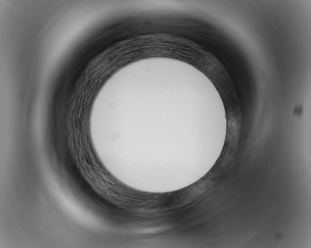 X0000114230765200911201109