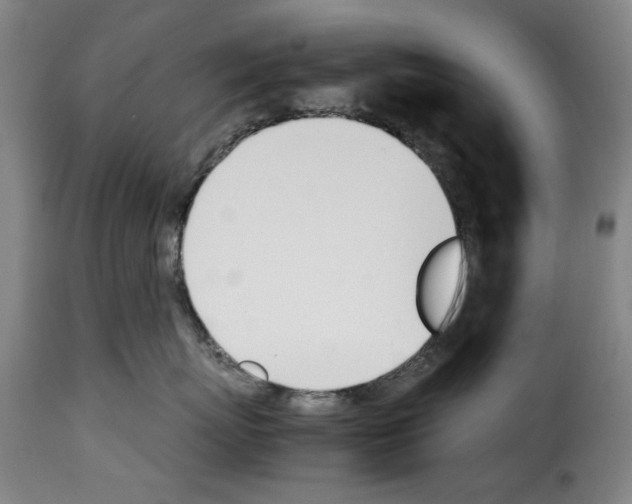 X0000114230767200911201110