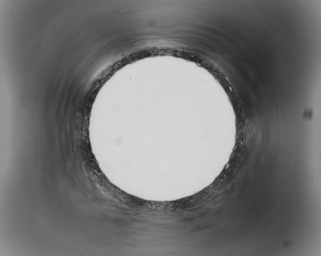 X0000114230775200911201109
