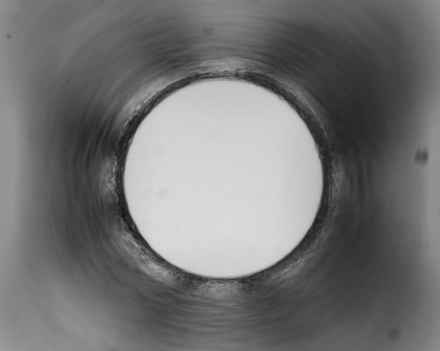 X0000114230778200911201109