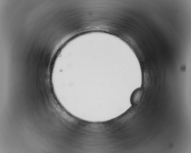 X0000114230780200911201109