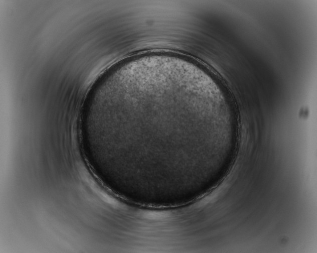 X0000114230782200911201109