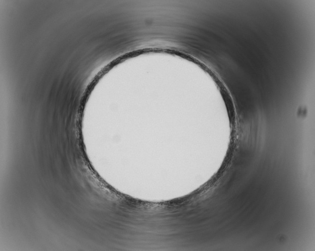 X0000114230783200911201109