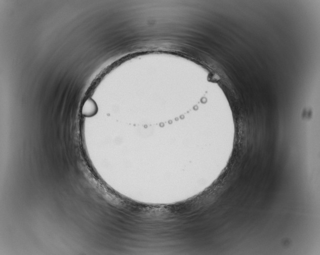 X0000114230784200911201108